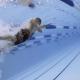 natation